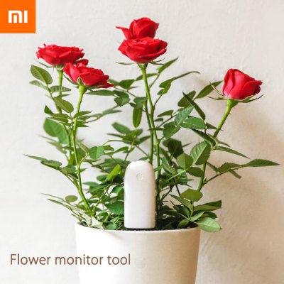 Xiaomi_flower_plant_monitor.jpg